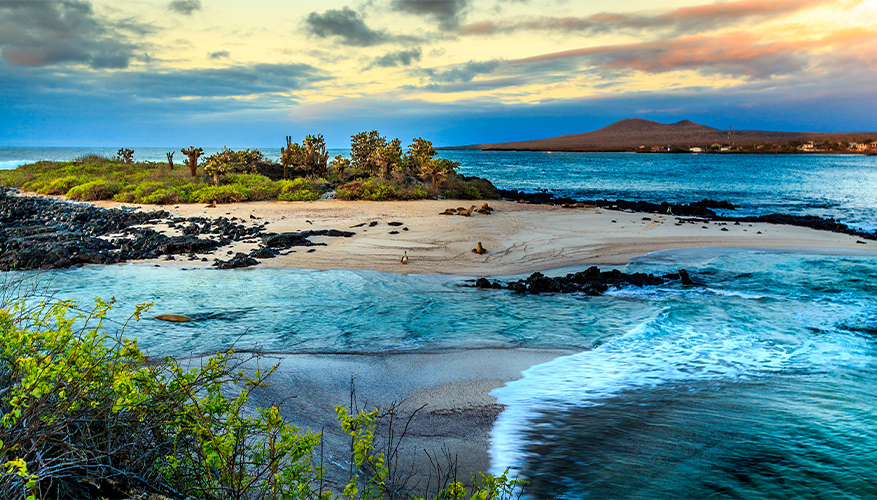 Galapagos Islands